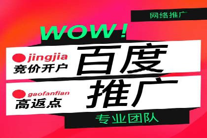 解析SEM主管在竞争激烈市场中的生存之道——以成功案例为鉴